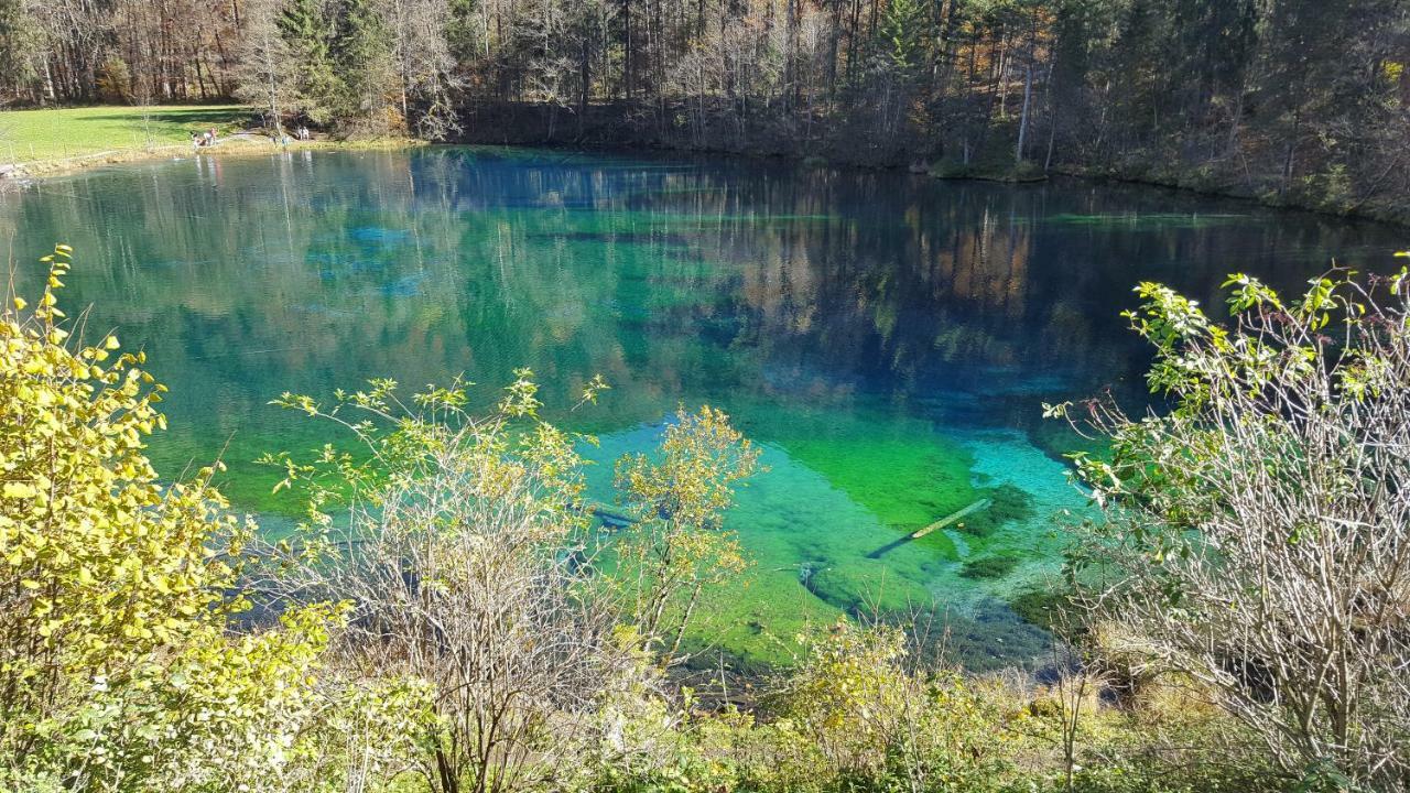 Ferienwohnung Am Eichwald Immenstadt im Allgäu Esterno foto
